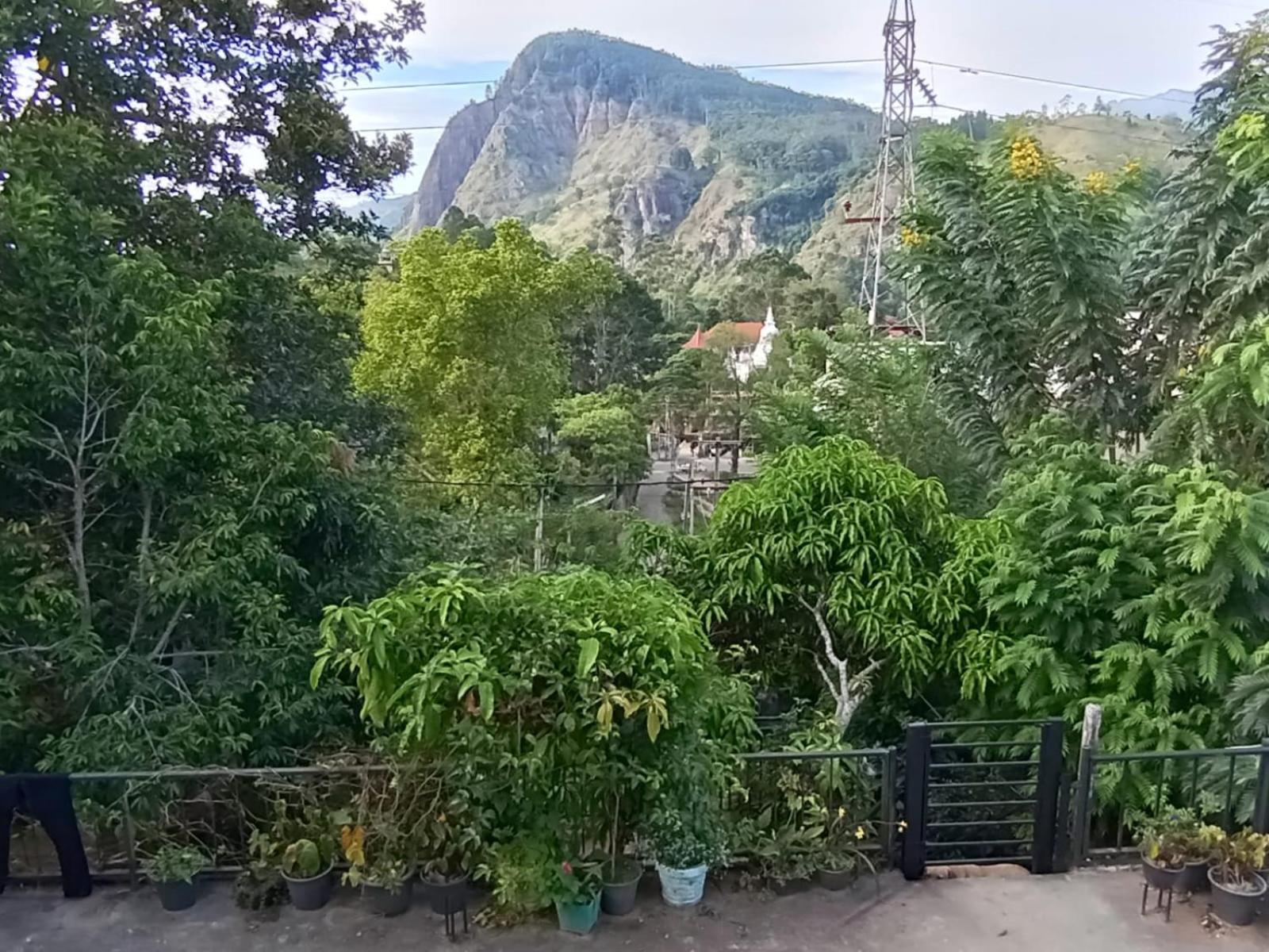 Welcome Homestay エッラ エクステリア 写真
